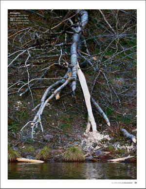 bergenstidende_bilag-20160603_000_00_00_033.pdf