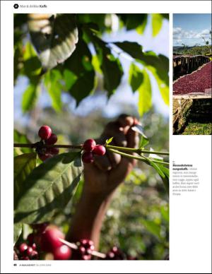 bergenstidende_bilag-20160624_000_00_00_048.pdf