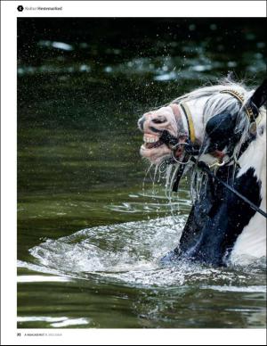 bergenstidende_bilag-20160708_000_00_00_032.pdf