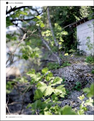 bergenstidende_bilag-20160715_000_00_00_018.pdf