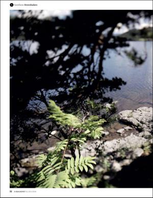 bergenstidende_bilag-20160715_000_00_00_022.pdf