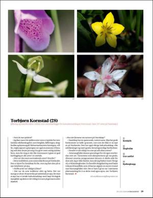 bergenstidende_bilag-20160729_000_00_00_029.pdf