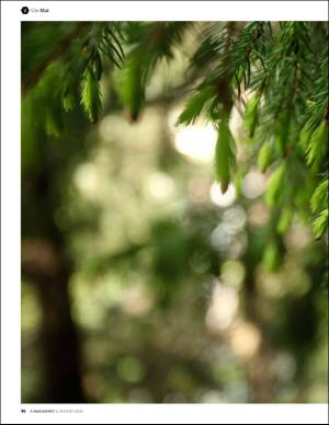 bergenstidende_bilag-20160805_000_00_00_046.pdf