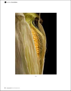 bergenstidende_bilag-20160930_000_00_00_022.pdf