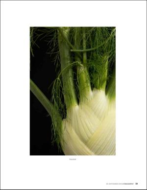 bergenstidende_bilag-20160930_000_00_00_023.pdf