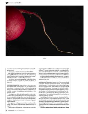 bergenstidende_bilag-20160930_000_00_00_024.pdf