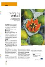 bergenstidende_btmagasinet-20070428_000_00_00_038.pdf