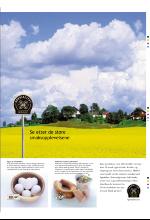 bergenstidende_btmagasinet-20070505_000_00_00_035.pdf