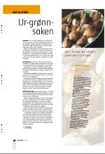 bergenstidende_btmagasinet-20070505_000_00_00_038.pdf