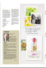 bergenstidende_btmagasinet-20070505_000_00_00_039.pdf