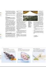 bergenstidende_btmagasinet-20070512_000_00_00_028.pdf