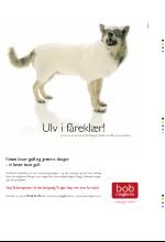 bergenstidende_btmagasinet-20070512_000_00_00_051.pdf