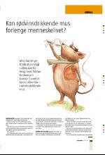 bergenstidende_btmagasinet-20070519_000_00_00_029.pdf