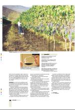 bergenstidende_btmagasinet-20070519_000_00_00_030.pdf