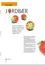bergenstidende_btmagasinet-20070707_000_00_00_032.pdf