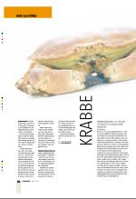 bergenstidende_btmagasinet-20070811_000_00_00_036.pdf