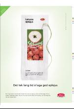 bergenstidende_btmagasinet-20071013_000_00_00_015.pdf