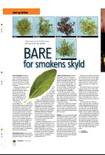 bergenstidende_btmagasinet-20071027_000_00_00_038.pdf