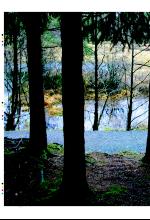 bergenstidende_btmagasinet-20071124_000_00_00_020.pdf