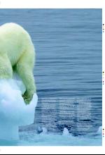 bergenstidende_btmagasinet-20071201_000_00_00_015.pdf