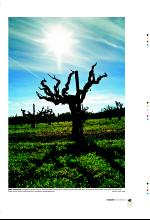 bergenstidende_btmagasinet-20071201_000_00_00_047.pdf