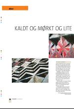 bergenstidende_btmagasinet-20071222_000_00_00_036.pdf