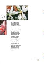 bergenstidende_btmagasinet-20071222_000_00_00_037.pdf