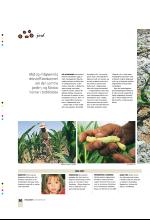 bergenstidende_btmagasinet-20071229_000_00_00_020.pdf