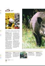 bergenstidende_btmagasinet-20071229_000_00_00_024.pdf