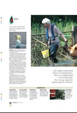 bergenstidende_btmagasinet-20071229_000_00_00_038.pdf