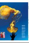 bergenstidende_btmagasinet-20080126_000_00_00_009.pdf
