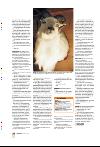 bergenstidende_btmagasinet-20080202_000_00_00_028.pdf