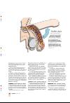 bergenstidende_btmagasinet-20080209_000_00_00_018.pdf