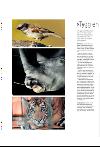 bergenstidende_btmagasinet-20080209_000_00_00_022.pdf