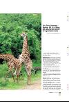 bergenstidende_btmagasinet-20080216_000_00_00_043.pdf