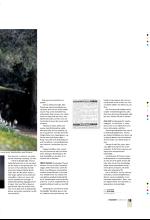 bergenstidende_btmagasinet-20080319_000_00_00_019.pdf