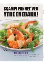 bergenstidende_btmagasinet-20080405_000_00_00_009.pdf