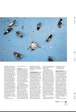 bergenstidende_btmagasinet-20080405_000_00_00_017.pdf