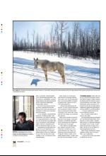 bergenstidende_btmagasinet-20080426_000_00_00_026.pdf