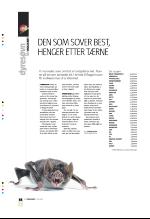 bergenstidende_btmagasinet-20080503_000_00_00_058.pdf