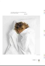 bergenstidende_btmagasinet-20080503_000_00_00_059.pdf