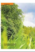 bergenstidende_btmagasinet-20080607_000_00_00_012.pdf