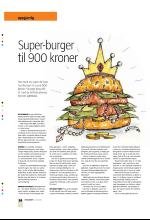 bergenstidende_btmagasinet-20080614_000_00_00_034.pdf