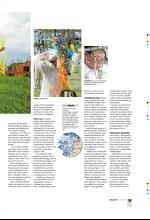 bergenstidende_btmagasinet-20080621_000_00_00_035.pdf