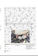 bergenstidende_btmagasinet-20080621_000_00_00_044.pdf