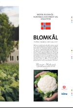 bergenstidende_btmagasinet-20080628_000_00_00_013.pdf