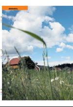 bergenstidende_btmagasinet-20080628_000_00_00_014.pdf