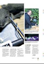bergenstidende_btmagasinet-20080628_000_00_00_031.pdf