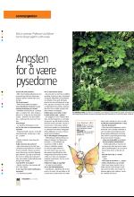 bergenstidende_btmagasinet-20080628_000_00_00_050.pdf