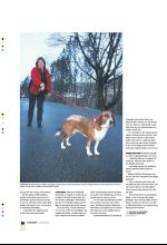 bergenstidende_btmagasinet-20090131_000_00_00_016.pdf